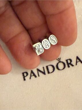 Pandora Silver Trio Charm Set - Silver Tone